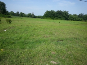 سیاهکل فروش زمین روستای مالفجان